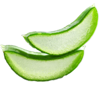 Aloe Vera image